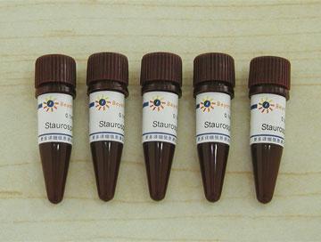 Staurosporine (PKC抑制剂)